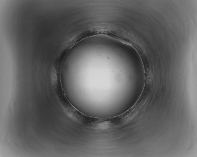 X0000116670456200912141344