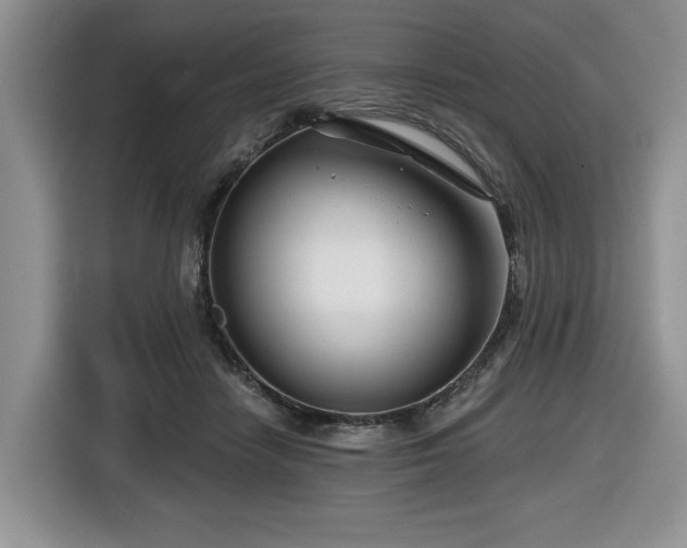 X0000116670458200912141344