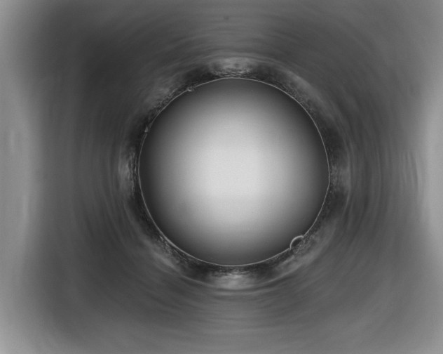 X0000116670460200912141344