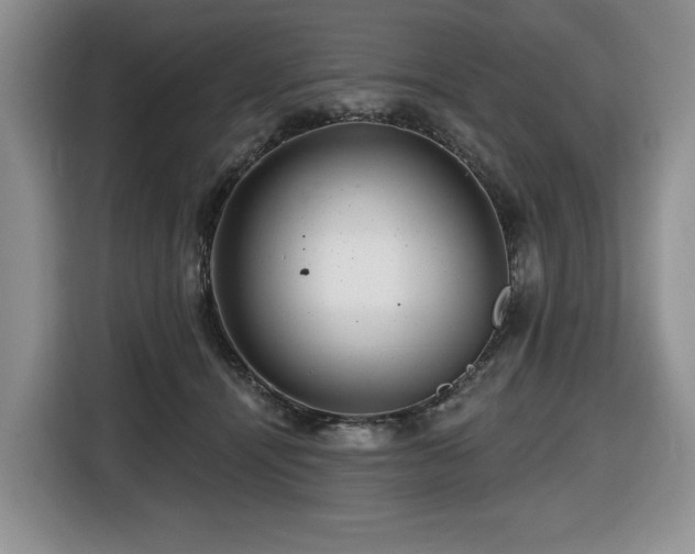 X0000116670464200912141344