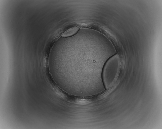 X0000116670467200912141344