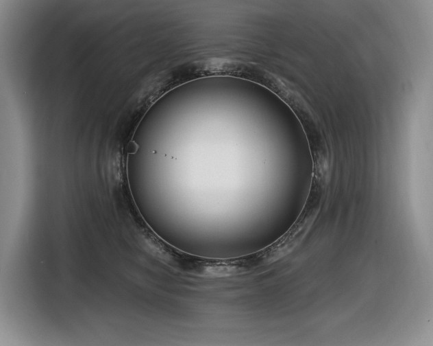 X0000116670470200912141344