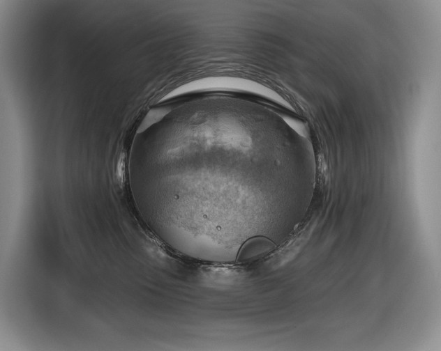 X0000116670475200912141344