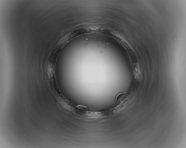 X0000116670476200912141344