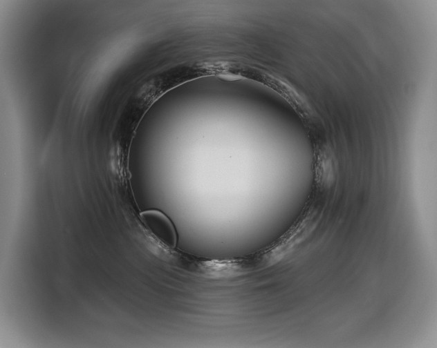 X0000116670477200912141344