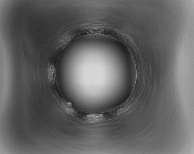 X0000116670480200912141344