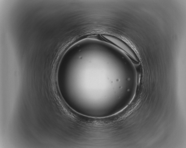 X0000116670481200912141343