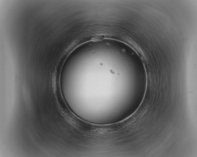 X0000116670482200912141343