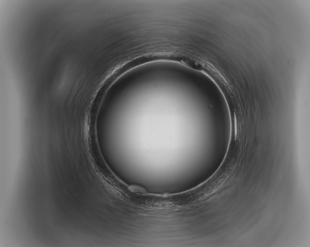 X0000116670483200912141343