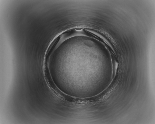 X0000116670484200912141343