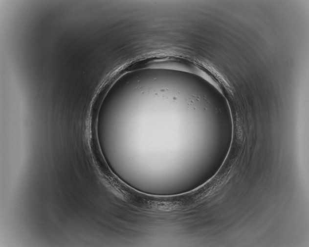 X0000116670486200912141343