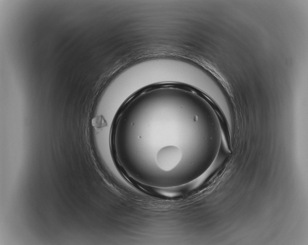 X0000116670489200912141343