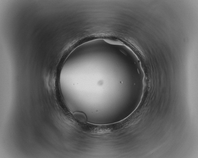 X0000116670491200912141343