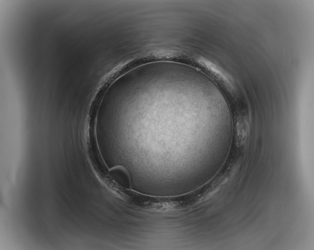 X0000116670492200912141343