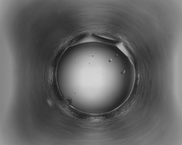 X0000116670495200912141343