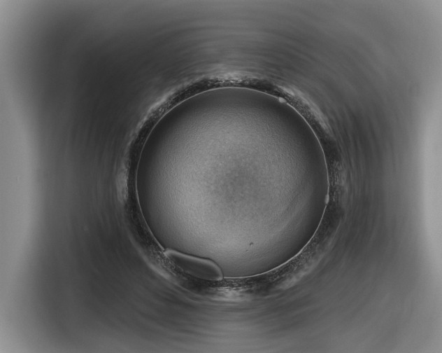 X0000116670496200912141343