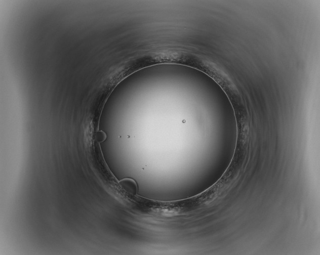 X0000116670498200912141343