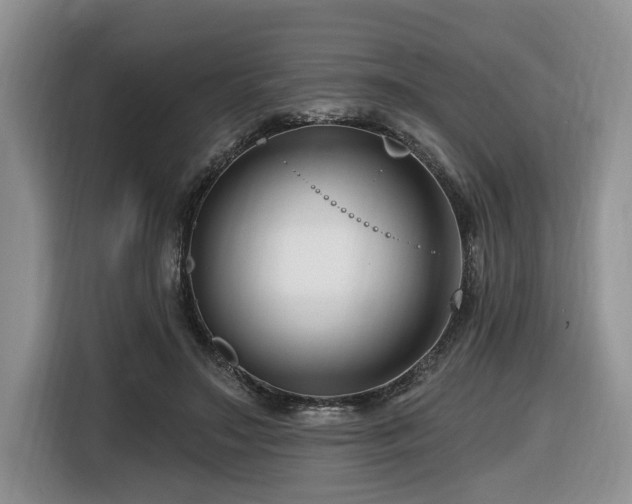 X0000116670499200912141343