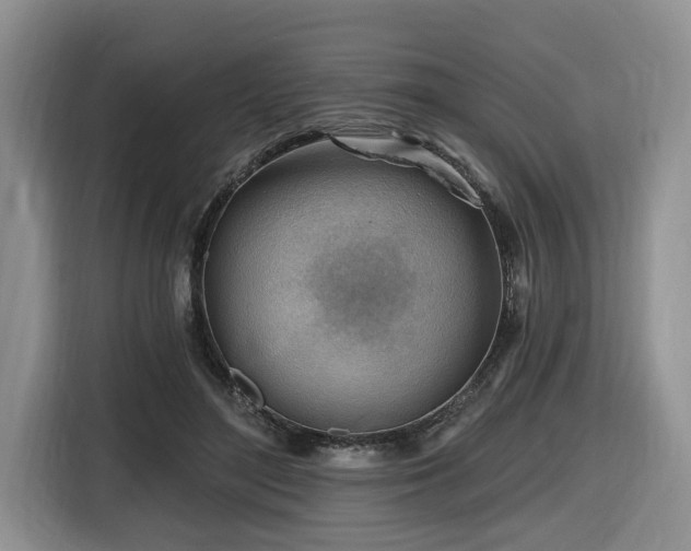 X0000116670500200912141343