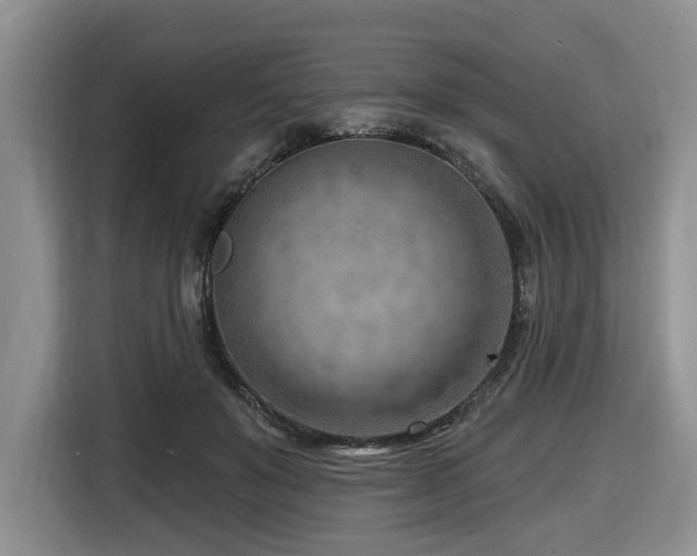 X0000116670503200912141343