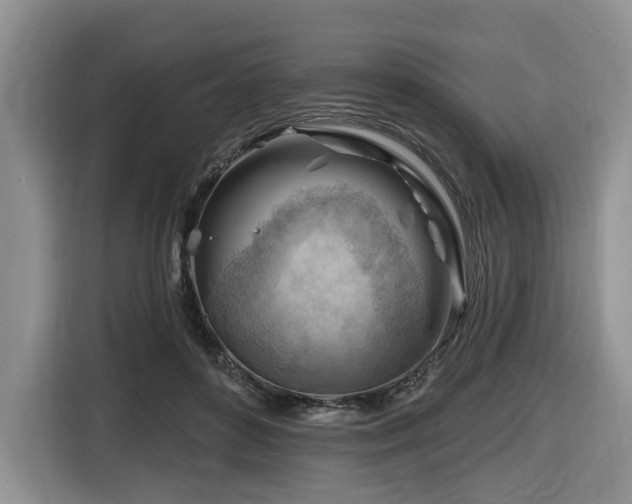 X0000116670504200912141343