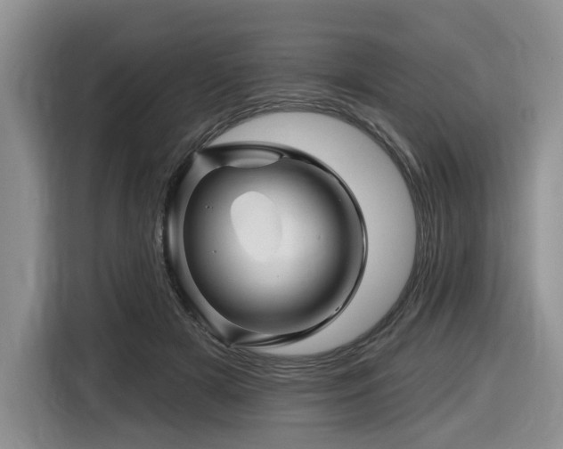 X0000116670505200912141343