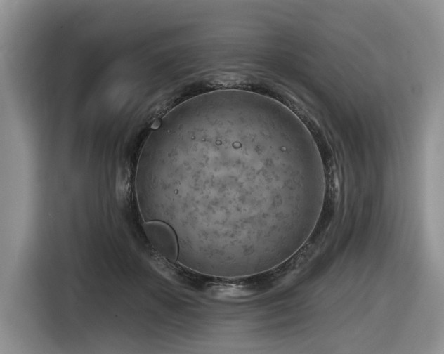 X0000116670507200912141343