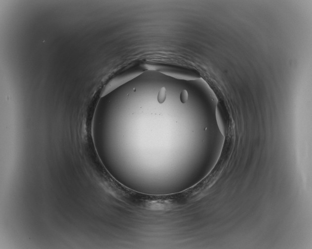 X0000116670508200912141343