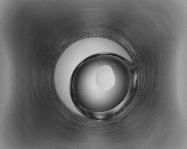 X0000116670509200912141343