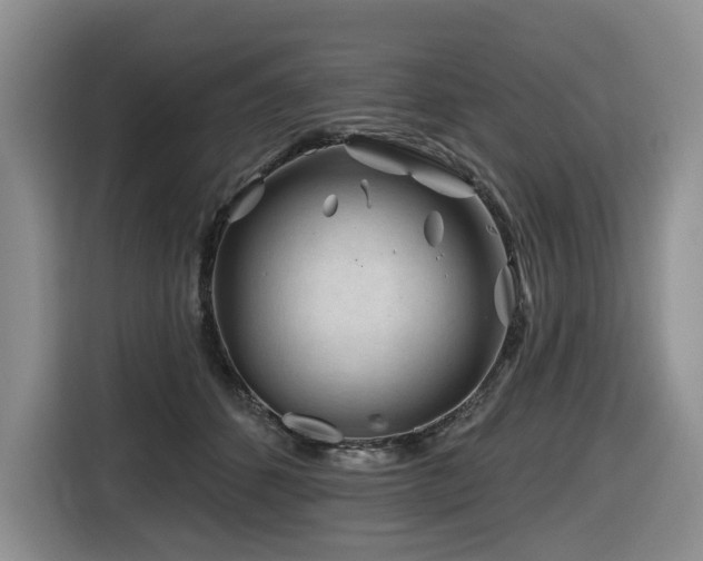 X0000116670512200912141343