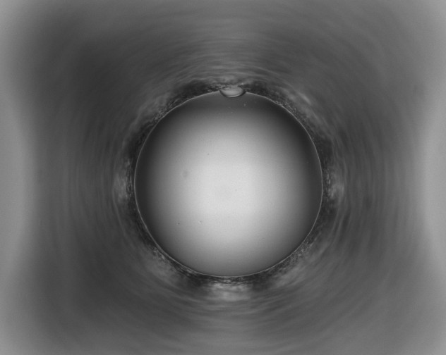 X0000116670515200912141343