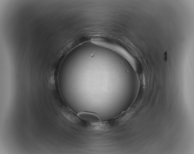 X0000116670516200912141343