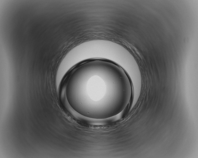 X0000116670517200912141343