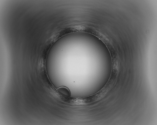 X0000116670518200912141343