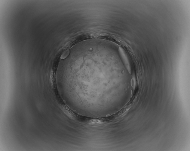 X0000116670519200912141343