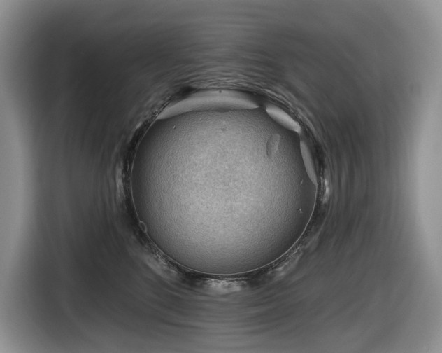 X0000116670520200912141343