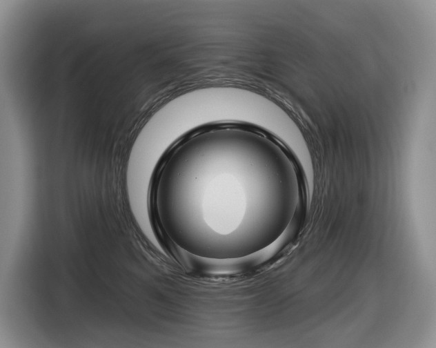 X0000116670521200912141343