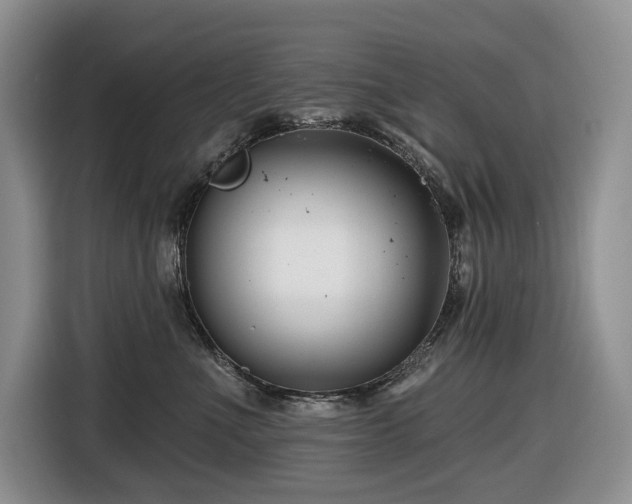 X0000116670523200912141343