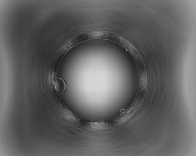 X0000116670525200912141343