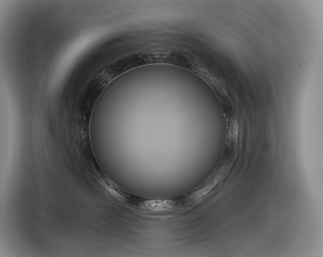 X0000116670526200912141343