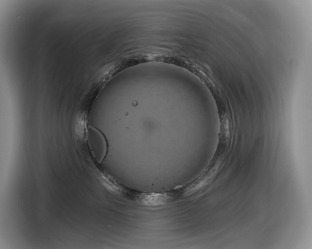 X0000116670527200912141343