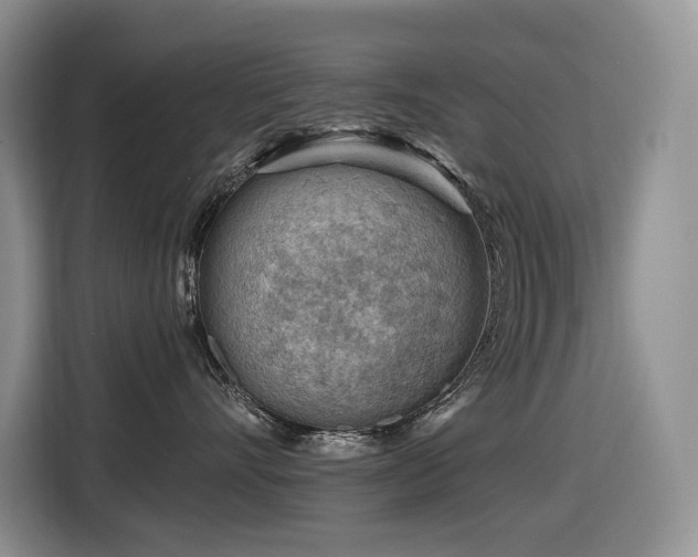 X0000116670528200912141343