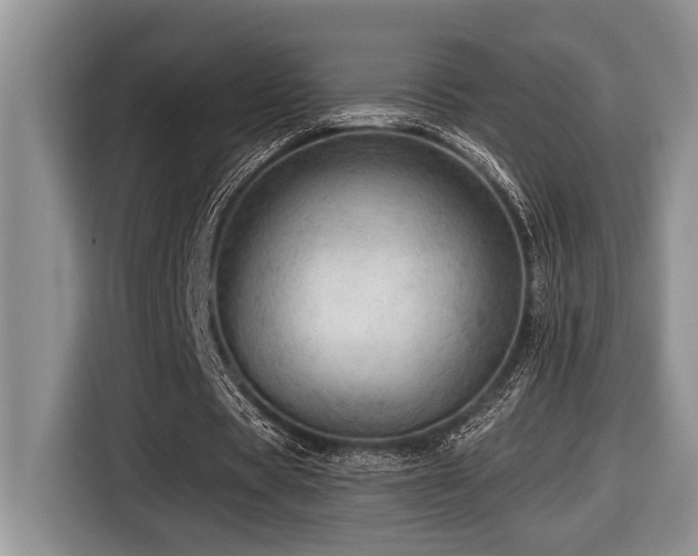 X0000116670529200912141342