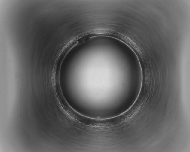 X0000116670530200912141342