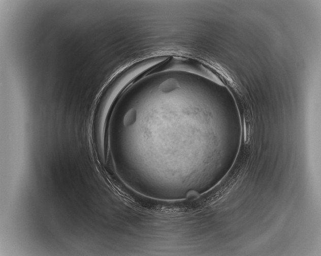 X0000116670531200912141342