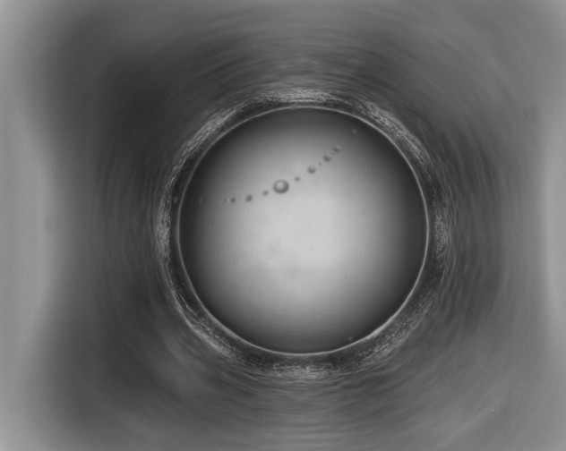 X0000116670533200912141342