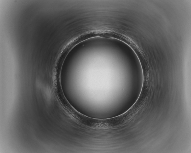 X0000116670535200912141342