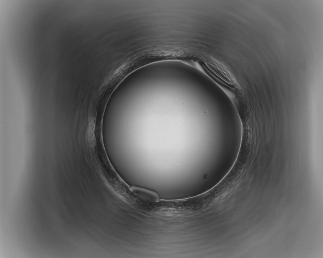 X0000116670538200912141342