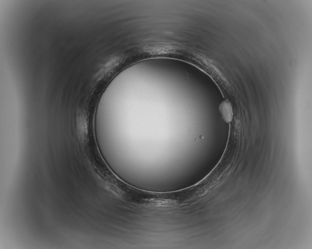 X0000116670539200912141342