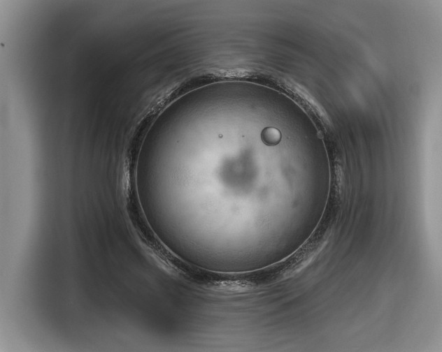 X0000116670541200912141342